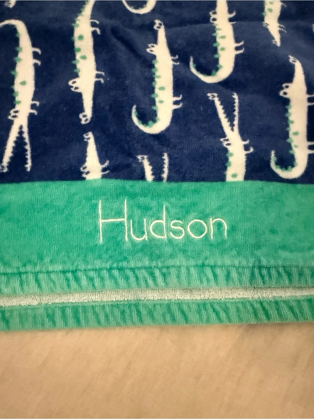 Pottery Barn Kids Green and Navy Alligator Hooded Towel